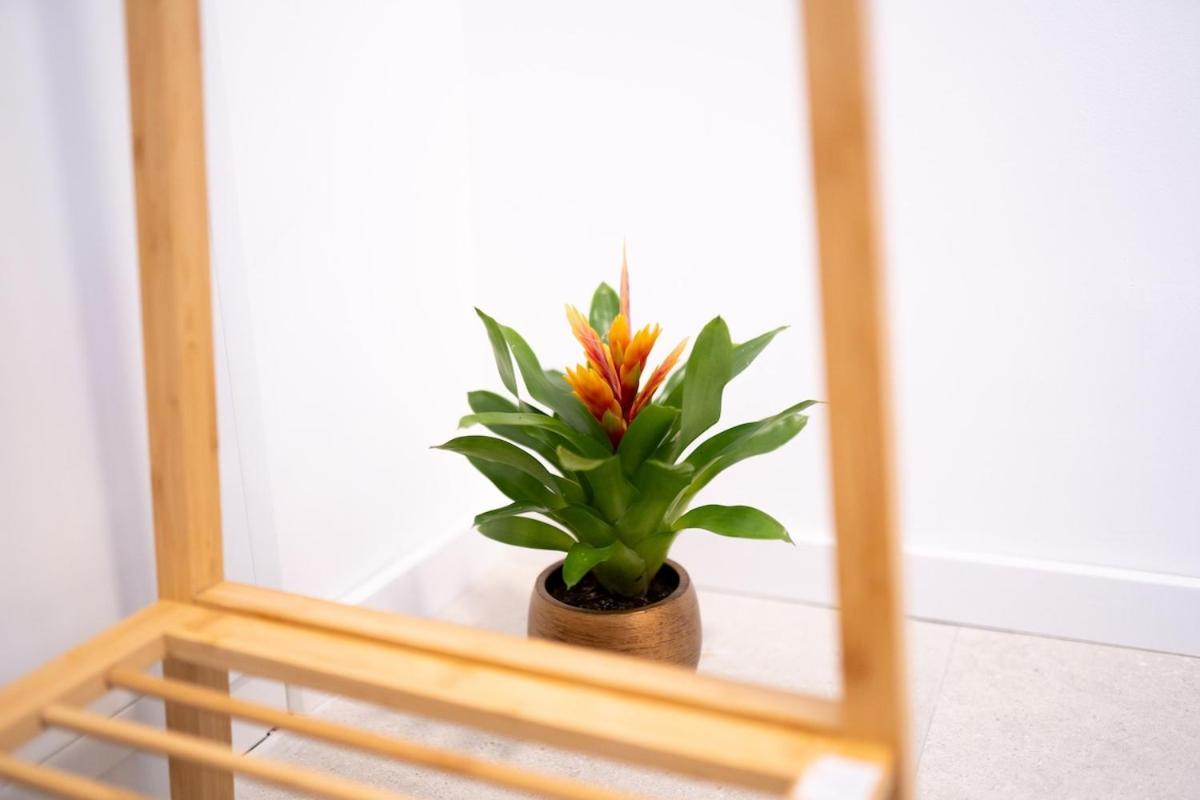 Appartamento W Design With Balcony & Free Parking Vienna